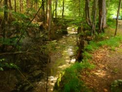 2013-07-20_Regina-F-Rau_Kochel-Rabenkopf (074).JPG